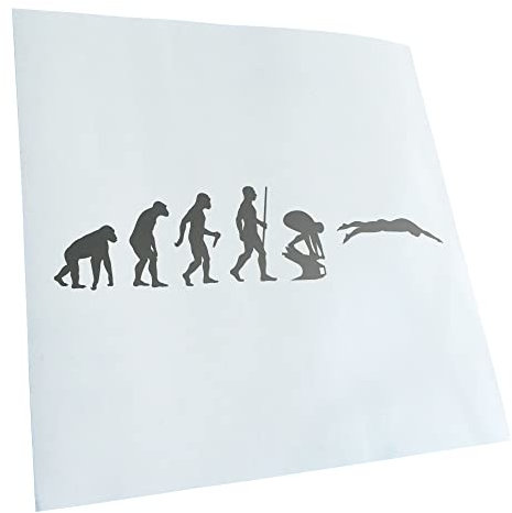 Kiwistar - Autoaufkleber - Schwimmen Evolution - Silber - 20x4,8cm - Heckscheibe Auto Aufkleber wetterfest für Kfz LKW Mofa Truck - Sticker außen selbstklebend Tuning Zubehör für Fenster Fahrzeug