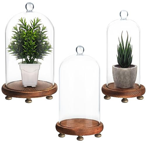 Belle Vous 3 Pezzi Campana Vetro con Base Legno Scuro - Taglia Piccola, Media e Grande - Espositore Vetro Trasparente Decorativo da Tavolo per Lucine, Centrotavola, Oggetti D’antiquariato