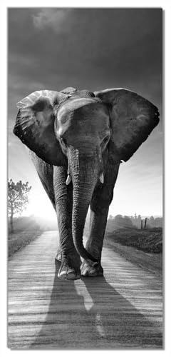 posterdepot Türtapete Türposter Elefant bei Sonnenaufgang in Afrika - Größe 93 x 205 cm, 1 Stück, schwarz/weiß, ktt0127a