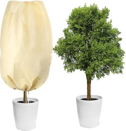 Protección para plantas de invierno, protección contra heladas, 80 x 120 cm, protección contra el frío, saco protector para plantas, cordón de invierno, cordón, protección contra heladas, manta