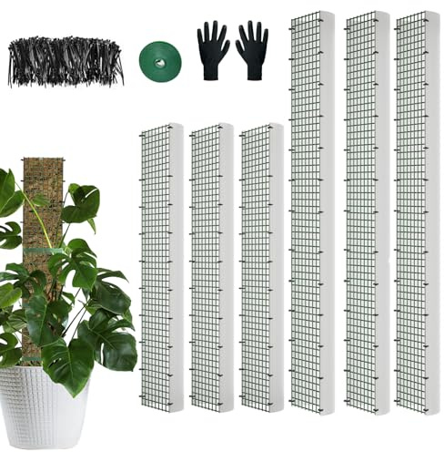 60/40/24 Metal Moss Pole, D Shape Sphagnum Moss Pole, Moss Poles for Climbing Plants, Monstera, Indoor Climbing Plants (3 Each of 40 24)