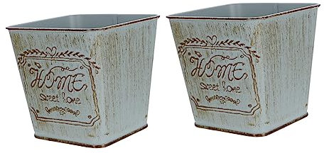 ibasenice 2pièces Seau Retro pour Pot De Jardin Pratique pour Plantes Et Décoration Intérieure