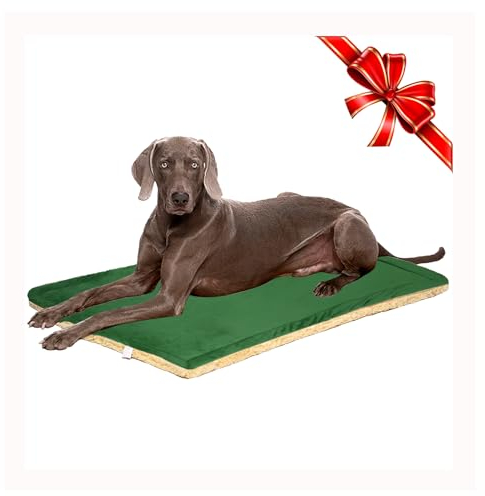 TVMALL Hundebett Matte Groß Waschbar, Reversible Plüsch Haustier Katze Betten Kissen Matratze, Weiche Warme Hund Matte Pad für Mittlere Große Hunde - 110X70CM, Grün