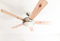 AireRyder FN75537 - Ventilatore da soffitto Ursa con illuminazione e telecomando, rivestimento nickel satinato, pale bianco/pino, 132 cm