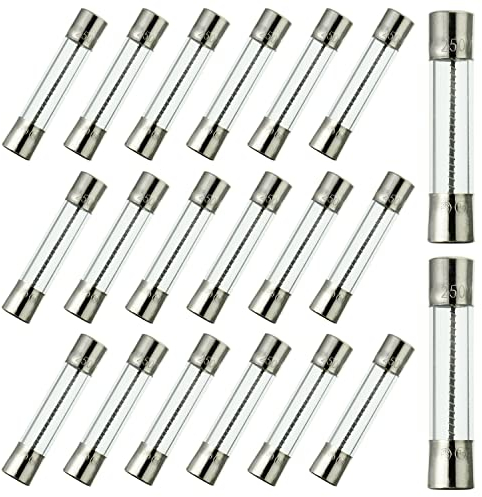 BOJACK T10A250V 6x30 mm 10 A 250 V Fusibles à fusion lente 10 amp 250 Volt 0,24 x 1,18 pouces Fusibles temporisés à tube de verre (paquet de 20 pièces)
