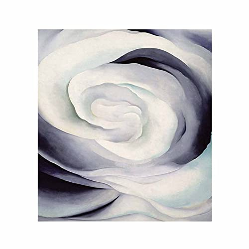 Quadro su tela, riproduzione artistica Georgia O'keeffe, astrazione, rosa bianca, floreale, su tela, per soggiorno e camera da letto, decorazione della casa, 60 x 66 cm, senza cornice