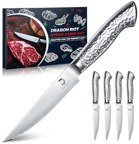 DRAGON RIOT Steakmesser-Set, 4-teiliges Steakbesteck mit Sägezahnklingen aus japanischem Edelstahl, spülmaschinengeeignet inklusive Aufbewahrungsbox