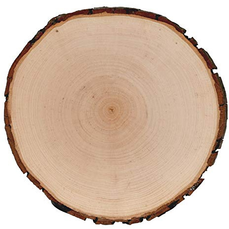 Rindenbrett rund Esche/Erle – natürliche Baumscheibe mit Rinde, Deko- & Servierbrett, ideal für Brandmalerei, Hochzeit, Garten & DIY-Projekte