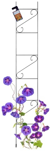 KADAX Grille de Treillis en Acier pour Grimper - Jardin, Plantes, Roses Grimpantes - Résistant aux Intempéries - Décoration - Noir (Hauteur : 180 cm)