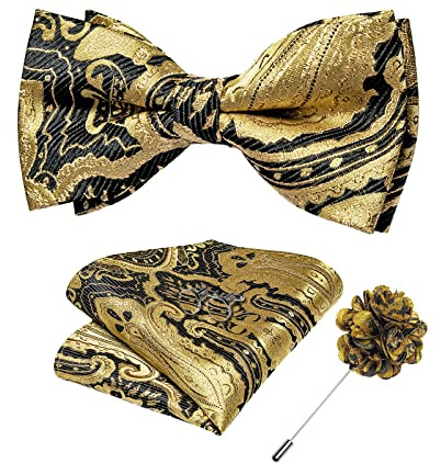 DiBanGu Silk Paisley Bow Tie for Men with Pocket Square Lapel Pin Cufflinks Pre-tied Bowtie Set for Wedding Party Prom