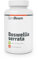 GymBeam Boswellia Serrata Integratore - Estratto di Resina d'Incenso Indiano, Acido Boswellico 520 mg per Porzione, Capsule Pratiche e 100% Vegetali, Adatto per Vegani, Supporto Articolare, 90 cps