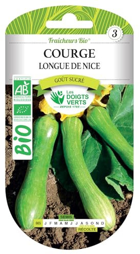 Graines courge longue de Nice BIO Les Doigts Verts