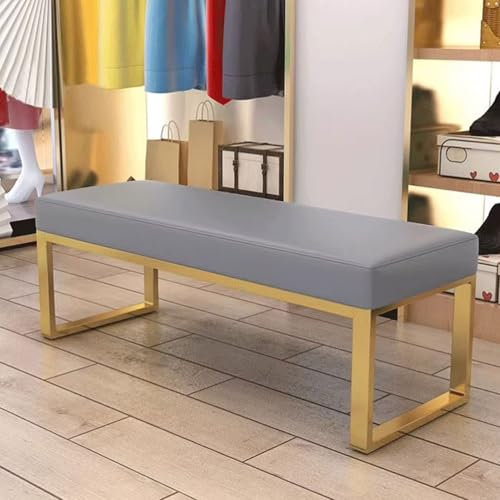 RTYHN Leder Schuhbank Esszimmerbank Gepolsterter Sitz mit Metallgestell für Flur Eingang Fitnessstudio Umkleideräume Eingangsbank