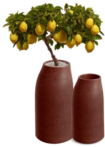 FEINZ Vaso Per Fiori EPOCCO 38x70 cm, Ocra Rossa, Design Ispirato Ceramiche Antiche, Con Inserto, Per Giardino Patio Interni, Elegante E Robusto