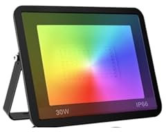 EDEDE Faretto LED da Esterno, TUYA RGB Proiettore Smart App Controllo vocale CCT 3000-6500K 30W 50W 100W AC for Illuminazione Esterna for Feste in Giardino per Giardino Garage Parco Stadi(30W)