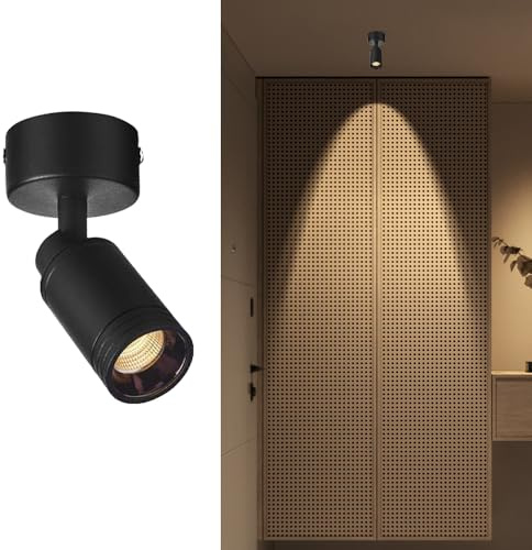 Foco de Techo Ajustable de 5 W, luz puntual, Montaje Expuesto, focos LED empotrados, focos direccionales, lámparas de exhibición de Obras de Arte Aent Lighting (Negro, 3000 K)