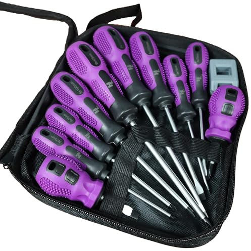 Screwdriver Set, 10 Piece | Phillips and Flathead, Magnetiser Tool, Case Included