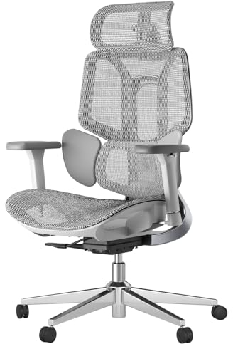 Hbada E3 Air Ergonomischer Bürostuhl mit 3-Zonen dynamischer Lendenwirbelstütze, Schreibtischstuhl mit 3D verstellbare Kopfstütze, 3D-Armlehnen verstellbar, Grau