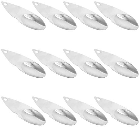 KICHOUSE Cuillères à Fruits en Acier Inoxydable 12 Pièces, Cuillère à Creuser Ergonomique, Outil Boule De Fruits pour Pelage Et Évider Le Kiwi, La Cuisine Familiale