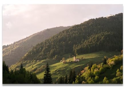 xukgmsg Capanna Nel Bosco Tela Arte Murale Foresta Paesaggio Dipinto Alberi Moderni Natura Quadro Stampa Su Tela Arte Murale Alberi Arte Naturale Per Casa Ufficio Soggiorno Camera Da Letto 120x80cm