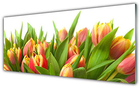 Tulup Acrylic Glass Print 125x50cm Wall Art - Wall Picture Plastic Acrylic Glass - Tulips Floral