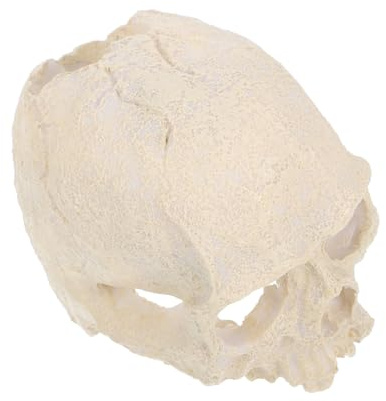 WEKAMOS Resin Schädel Aquarium Dekoration Langlebig Robust Reptilien Versteck Höhle Shelter Cave für Schlangen Spinnen Eidechsen Akzentuierte Deko für Fischbecken Zuhause
