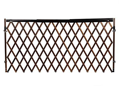 Evenflo Expansion Walk-Thru Room Divider Baby Gate, Farmhouse Collection