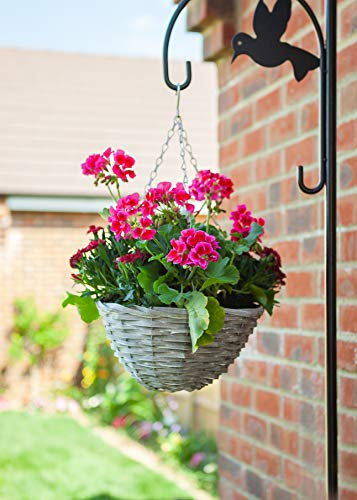 pille gartenwelt Blumenampel außen Rattan Blumenampeln zum aufhängen versch. Größen und Farben (rund 30cm Weidenkorb Sand)