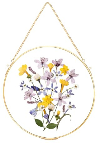 REDHUGO Runde gepresste Blumenrahmen aus Glas, Kreis (Gold, Durchmesser φ24 cm)