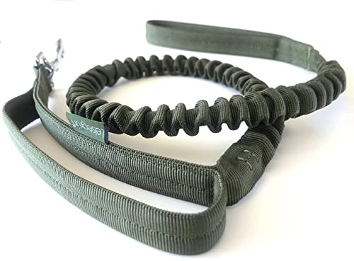 Leisegrün Elastische Hundeleine | Führleine für Hunde aus Nylon mit Kurzführer & Ruckdämpfer | Länge 130 cm bis 200 cm | Olive Grün