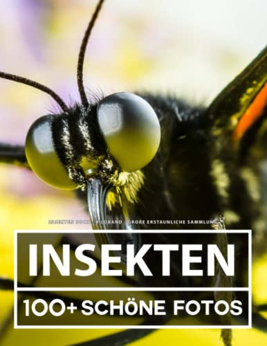 Insekten Buch - Bildband - Große Erstaunliche Sammlung: 100 Wunderschöne Bildern - Für Kinder und Erwachsene