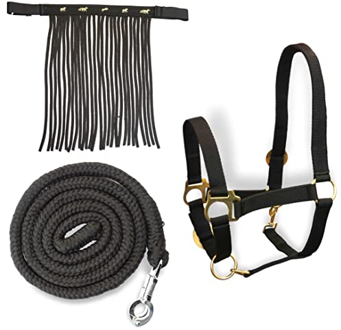 Halfter für Pferde mit Führstrick & Fliegenfransen Pferd, Halfter mit Strick - Halfter Pony Shetty Halfter Cob Full Kb (Vollblut (Cob), Schwarz)