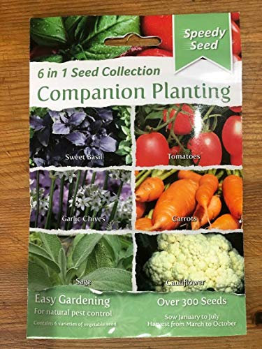 Vegetable Seeds - Companion Plants - Sweet Basil, Tomatoes, Garlic Chives, Carrots, Sage, Cauliflower