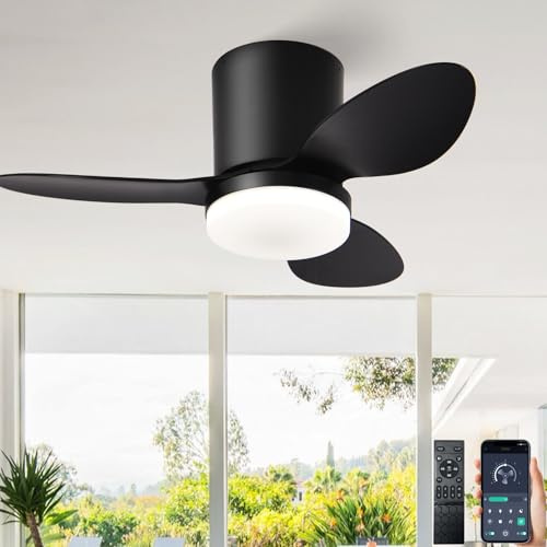AQLEDY Pequeño Ventilador De Techo Con Luz Y Mando Silencioso, Lamparas Con Ventilador De Techo Infantil DC Reversible Modernos 3 Aspas Para Dormitorio Salon Habitacion Regulable 3000K-6500K-Black