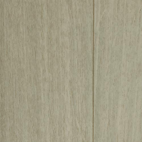 BODENMEISTER BM70489 Vinylboden PVC Bodenbelag Meterware 4m, 5m breit, Holzoptik Diele Eiche hell weiß grau