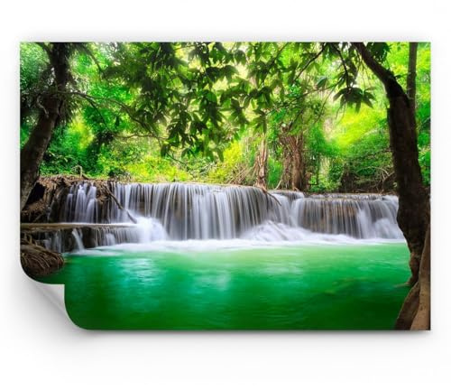Carta da Parati Vinile in TNT 150x105 cm Cultura Foresta - 2502 - WF3 | Acqua Parco Natura Premium Canvas Fotomurale Moderno Decorazione da Parete Murale da Parete Per Soggiorno ARTTOR