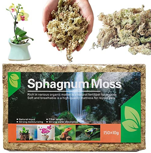 Zankie 5 Musgo de esfagno Natural - Mezcla para macetas de orquídeas,Mezcla para macetas de Plantas carnívoras suculentas Naturales, Medio de Cultivo de Plantas para orquídeas