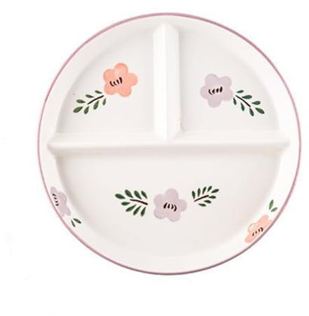 DouYuan Divided Plates Ceramic, 8 inch Round Portion Control Plates for Adults Porcelain, Diet Dinner Plate with Compartments for Dessert Salad Steak Sushi Spaghetti