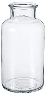 OASIS Modern Clear Glass Wide Flower Jar - Twig Stem Bouquet Display Vase (10 x 20cm)