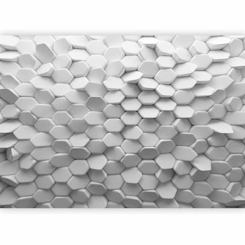 murando Fotomurales Optica 3d 450x315 cm XXL Papel pintado tejido no tejido | Decoración de Pared decorativos Murales moderna Diseno Fotográfico Flores 3D Efecto Blanco