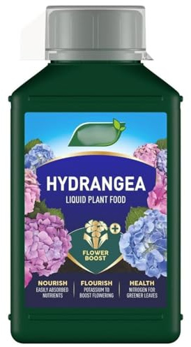 Specialist Hydrangea Plant Food 1l - Whether Your Hydrangeas Are in Containers or in the Ground, You Should Feed Them Weekly - Abundance of Stronger, Healthier, More Vibrant Flowers