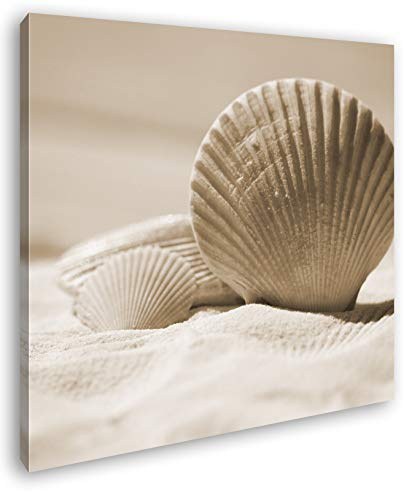 Leinwandbild Klassische Muscheln im Sand, schlicht und elegant Format: 60x60 cm Effekt: Sepia XXL Kunstdruck Bild auf Keilrahmen/Wandbild/Wohnzimmer Deko