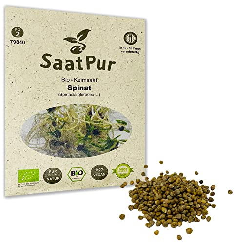 SaatPur Bio Keimsprossen - Spinat - Keimsaat für die Sprossenzucht zuhause - 20g Baby Salat Spinat