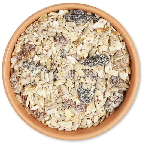 CJ Wildlife Rotkehlchen Vogelfutter 5kg – Wildvogelfutter ganzjährig – Proteinreiches Wildvogelfutter mit Haferflocken, Sonnenblumenkernen und Mehlwürmern