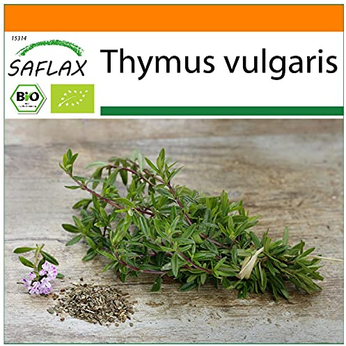 SAFLAX - Jardin dans le sac - BIO - Thym - 800 graines - Avec substrat de culture dans un sac de levage facile à manipuler. - Thymus vulgaris
