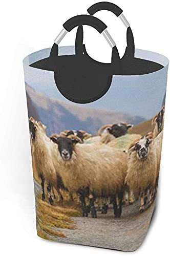 Cesto para la colada, rebaño de ovejas escocesas de cara negra, cesto para la colada, organizador de juguetes, cesto impermeable para guardería, 50L