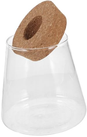 Bocal Décoratif pour Terrarium Hydroponique Multifonctionnel pour Décoration pour Plantes Design Artisanal Transparent