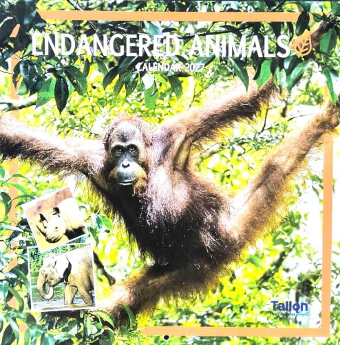 2027 Endangered Animals Square Wall Calendar 16 Month Planner Organiser
