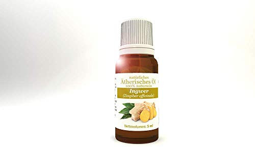 Ingwer (Zingiber officinale) - 100% naturreines ätherisches Öl 5 ml