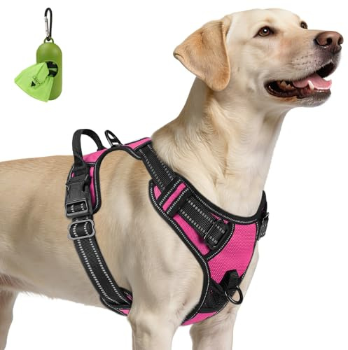 Joytale Anti-Zug Hundegeschirr für große Hunde, Rosa, L | Perfekter Sitz, gepolstert & reflektierend, 2 Anleinpunkte (vorne & hinten), Haltegriff für Treppen & Auto, für Training